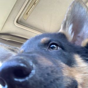 Meet your Posher, Flor